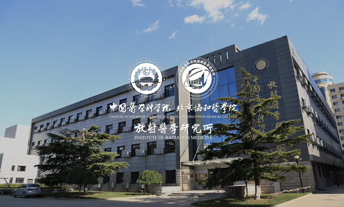 網(wǎng)站制作技術(shù)的演進與趨向